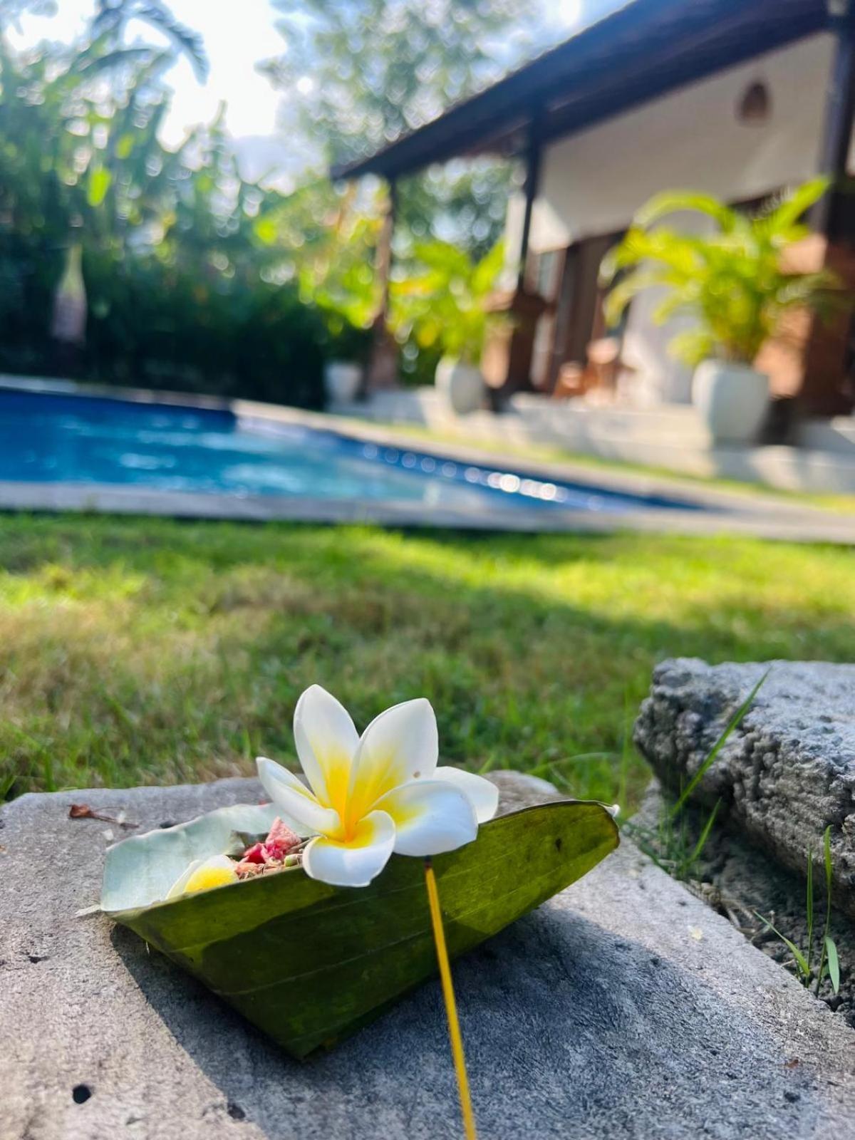 Wiryaroja Guest House Canggu Exteriér fotografie